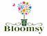 Bloomsy LLC